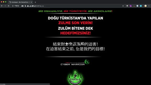 常見網(wǎng)絡(luò)安全風(fēng)險(xiǎn)及應(yīng)對策略 聚焦網(wǎng)絡(luò)與信息安全軟件開發(fā)